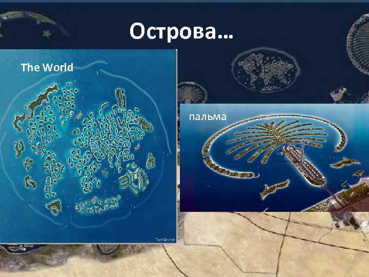    Острова… The World    пальма 