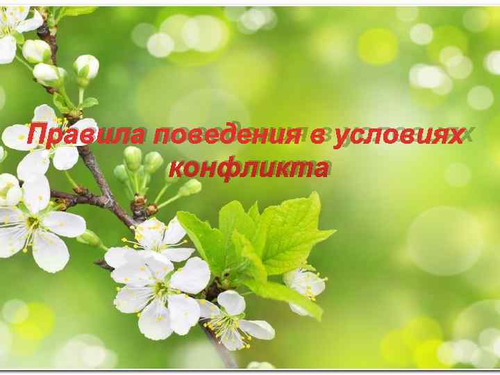 Правила поведения в условиях   конфликта 