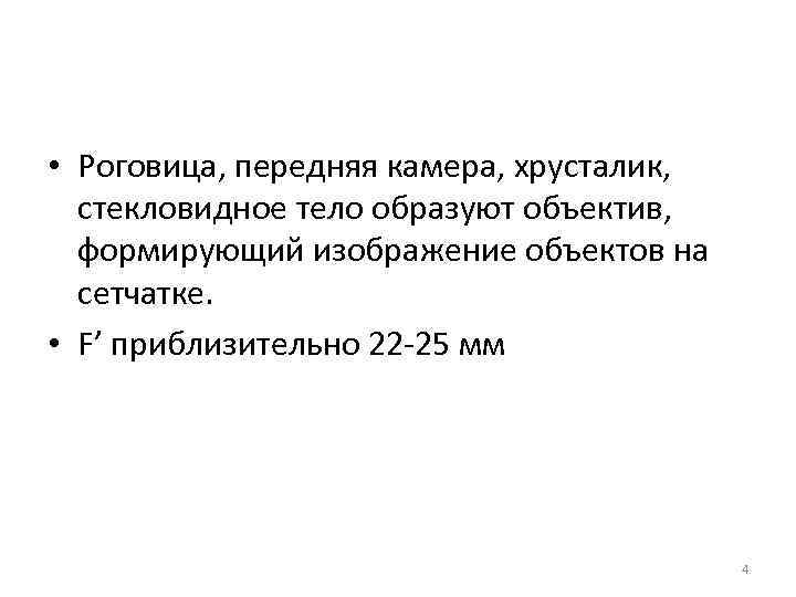  • Роговица, передняя камера, хрусталик,  стекловидное тело образуют объектив,  формирующий изображение