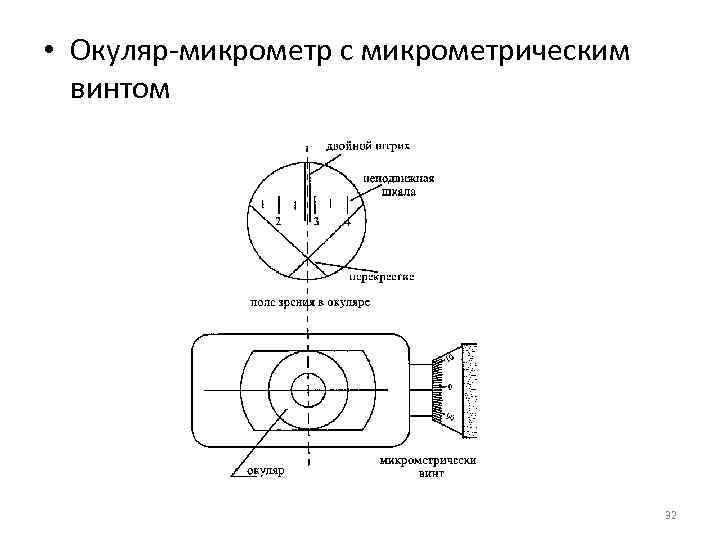 • Окуляр-микрометр с микрометрическим винтом 32 • Окуляр-микрометр с микрометрическим винтом 32