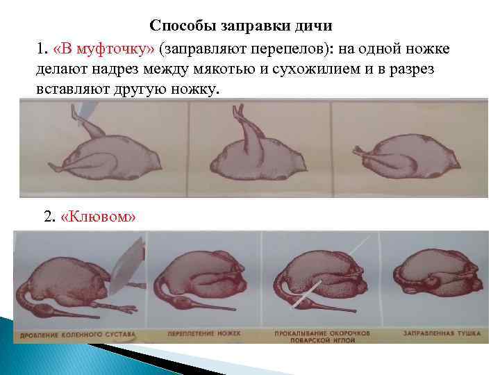 Схема обработки сельскохозяйственной птицы