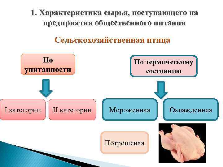 Технологическая схема процесса обработки тушки птицы замороженной полупотрошенной