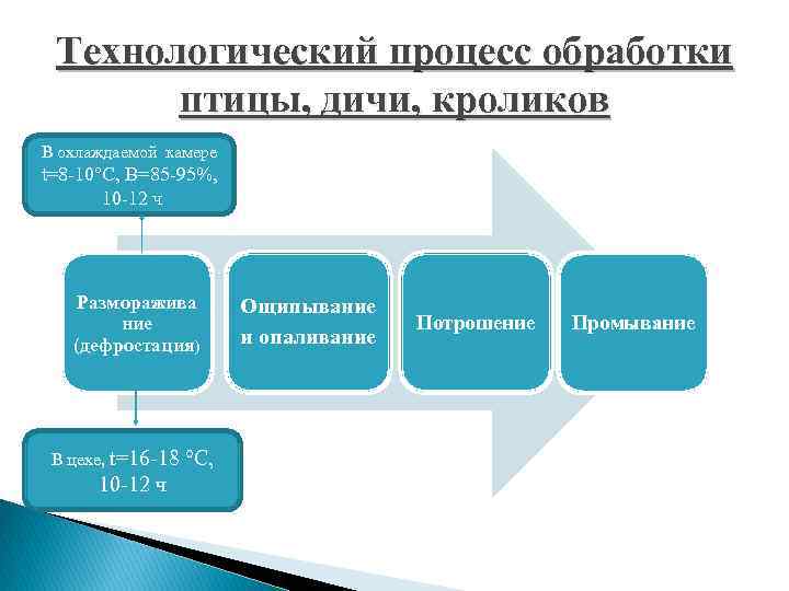 Технологическая схема процесса обработки тушки птицы замороженной полупотрошенной