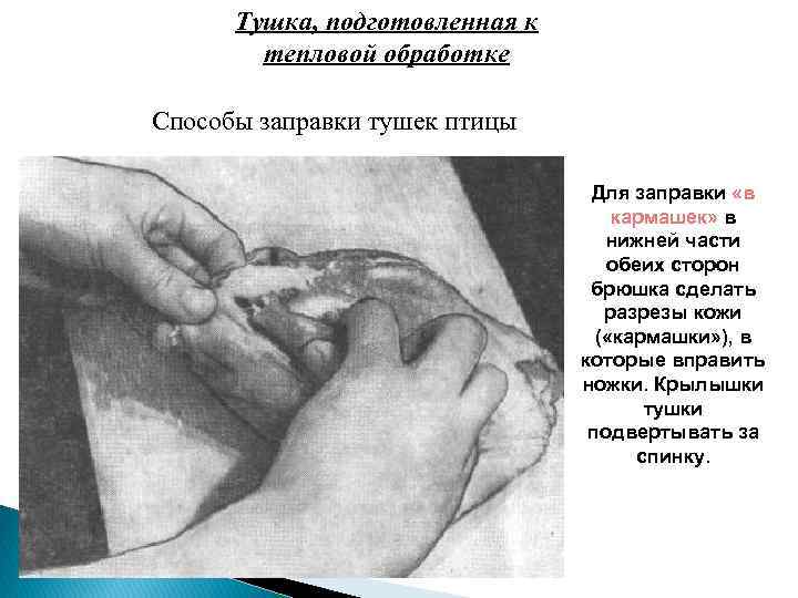  Тушка, подготовленная к   тепловой обработке Способы заправки тушек птицы  