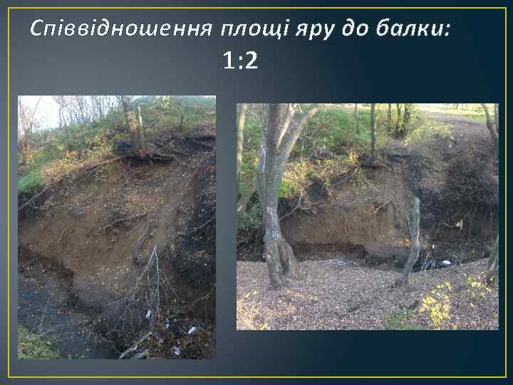 Співвідношення площі яру до балки:   1: 2 