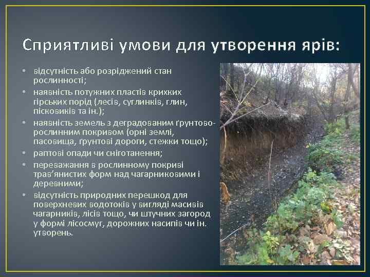 Сприятливі умови для утворення ярів:  • відсутність або розріджений стан  рослинності; 