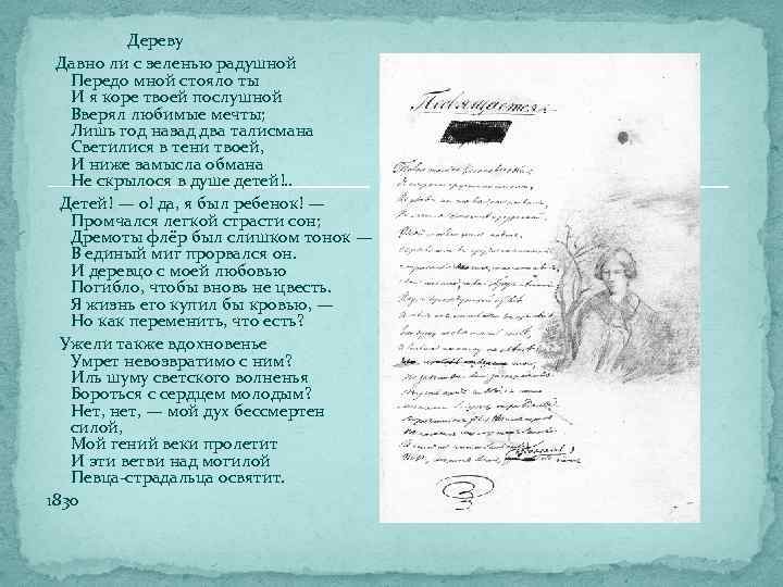     Дереву  Давно ли с зеленью радушной Передо мной стояло