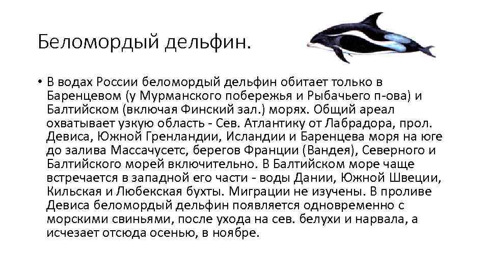 Беломордый дельфин.  • В водах России беломордый дельфин обитает только в  Баренцевом