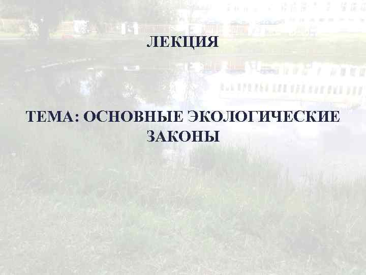   ЛЕКЦИЯ  ТЕМА: ОСНОВНЫЕ ЭКОЛОГИЧЕСКИЕ   ЗАКОНЫ 