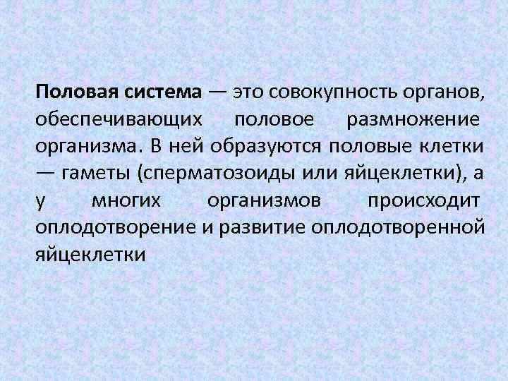 Половая система — это совокупность органов, обеспечивающих половое размножение организма. В ней образуются половые