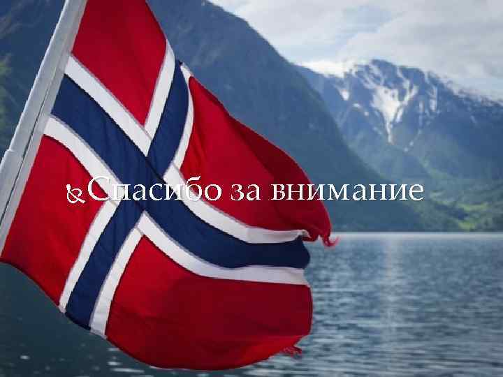 Спасибо за внимание  