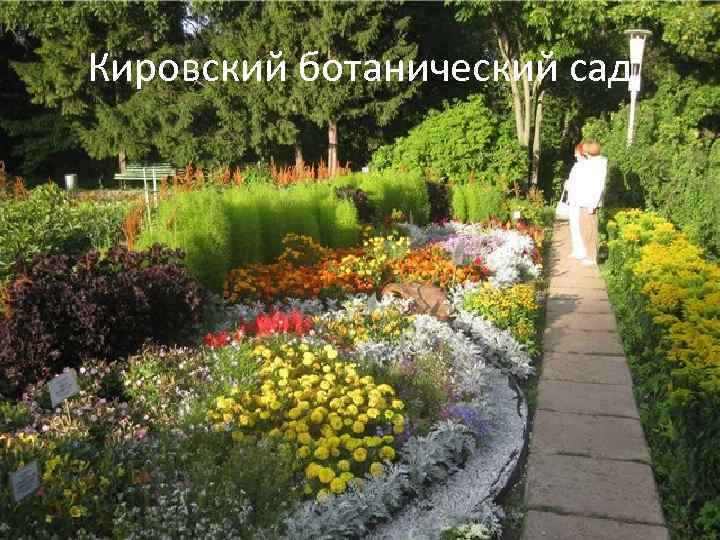 Кировский ботанический сад 