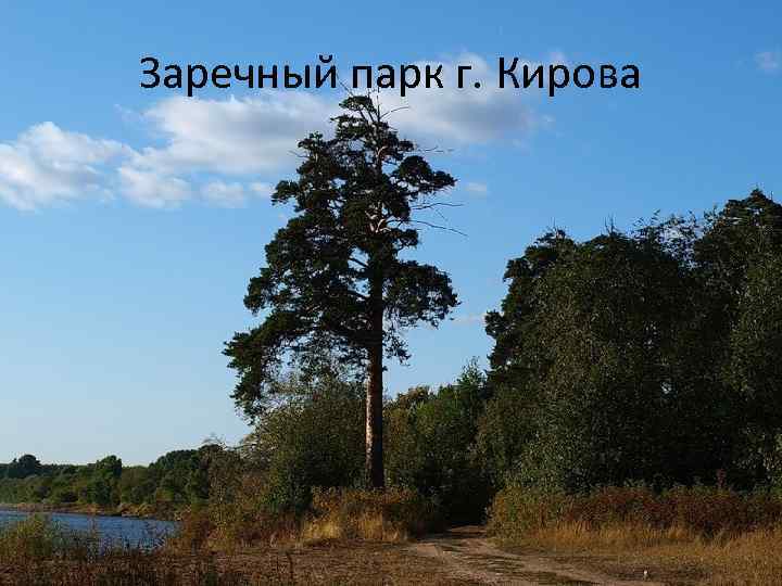 Заречный парк г. Кирова 