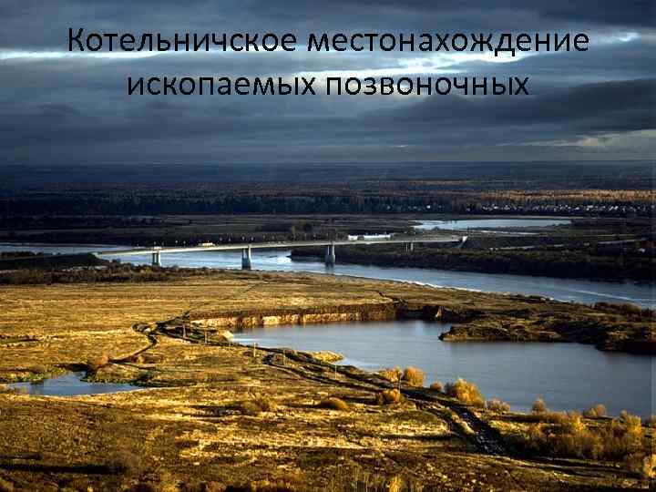 Котельничское местонахождение  ископаемых позвоночных 