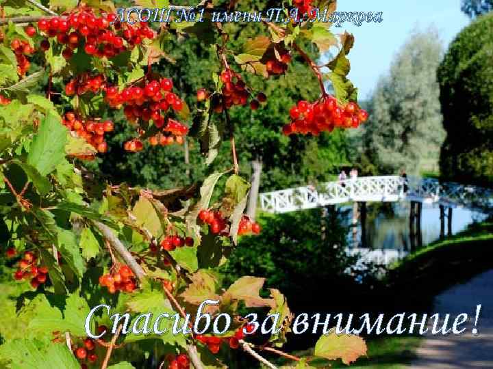 ЛСОШ № 1 имени П. А. Маркова Спасибо за внимание! ЛСОШ № 1 имени П. А. Маркова Спасибо за внимание!