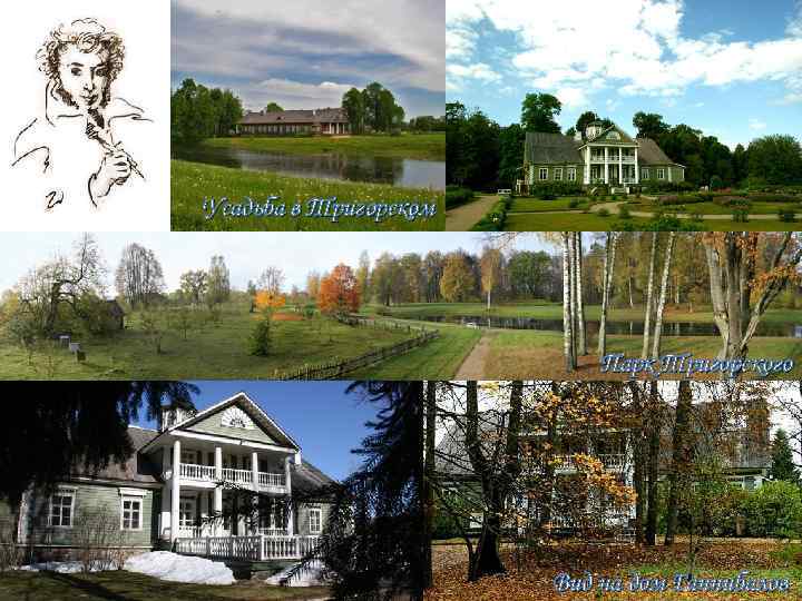 Усадьба в Тригорском Парк Тригорского Усадьба в Тригорском Парк Тригорского