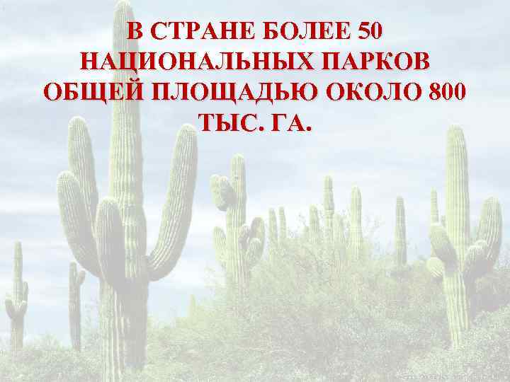   В СТРАНЕ БОЛЕЕ 50  НАЦИОНАЛЬНЫХ ПАРКОВ ОБЩЕЙ ПЛОЩАДЬЮ ОКОЛО 800 