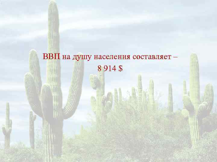 ВВП на душу населения составляет –   8 914 $ 