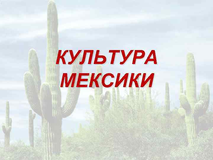 КУЛЬТУРА МЕКСИКИ 