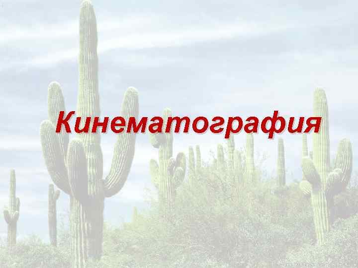 Кинематография 