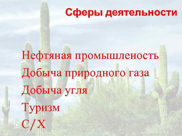   Сферы деятельности Нефтяная промышленость  Добыча природного газа  Добыча угля 