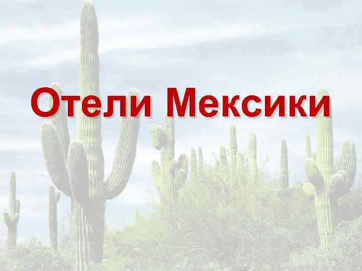 Отели Мексики 