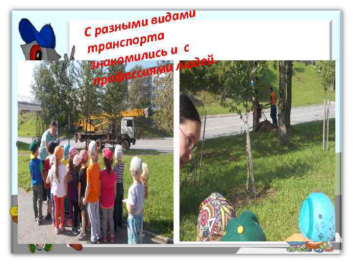    идами С раз ными в   а тран  спорт