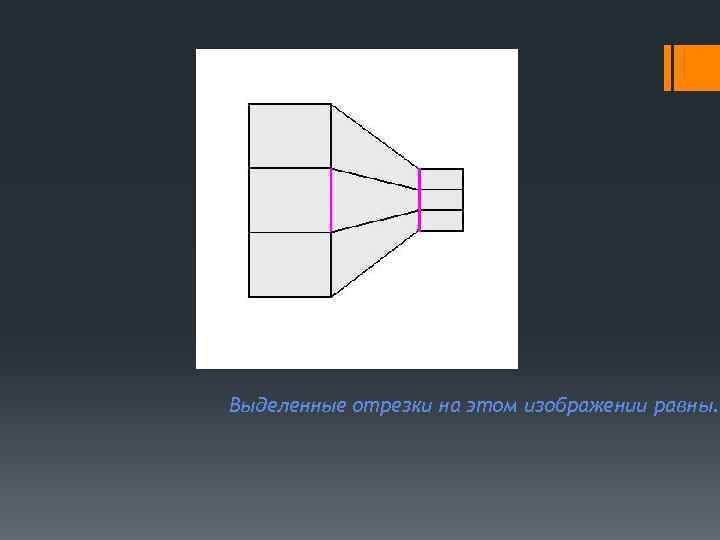 Выделенные отрезки на этом изображении равны. 