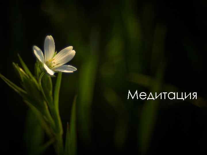 Медитация 