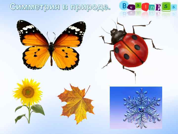 Симметрия в природе. 