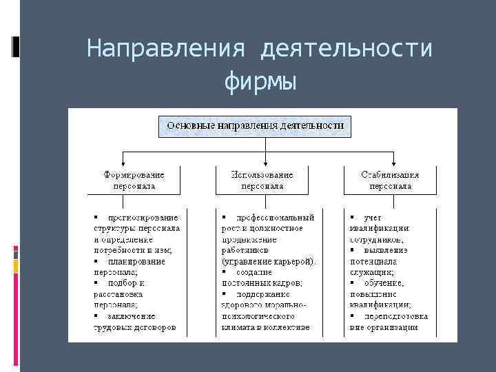 Направления деятельности  фирмы 