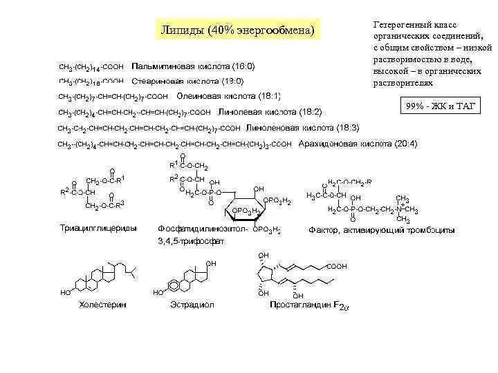       Гетерогенный класс Липиды (40% энергообмена)  органических соединений,