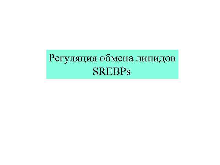 Регуляция обмена липидов   SREBPs 