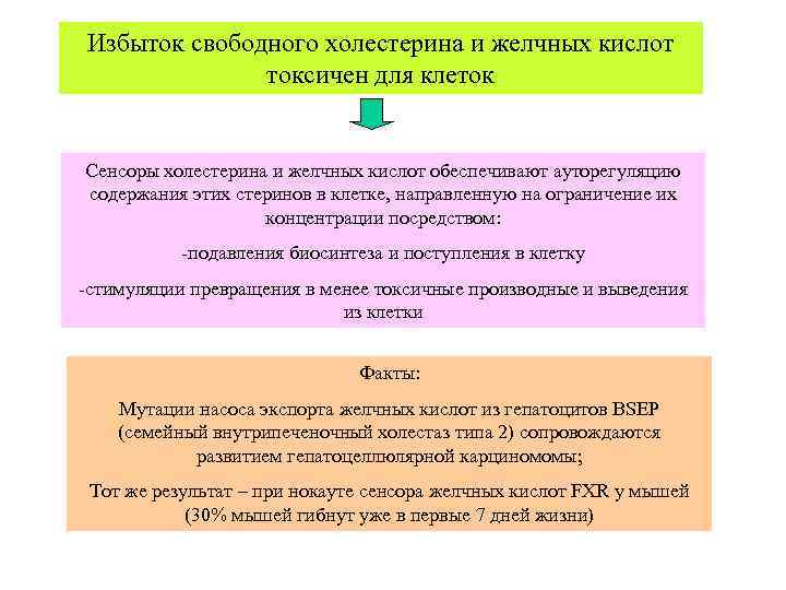 Избыток свободного холестерина и желчных кислот    токсичен для клеток  Сенсоры