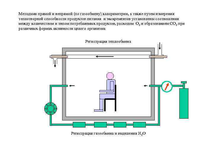 Методами прямой и непрямой (по газообмену) калориметрии, а также путем измерения теплотворной способности продуктов