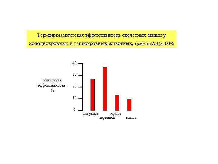   Термодинамическая эффективность скелетных мышц у холоднокровных и теплокровных животных, (работа/ΔH)x 100% 