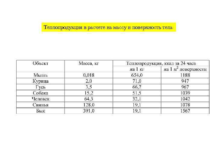 Теплопродукция в расчете на массу и поверхность тела 