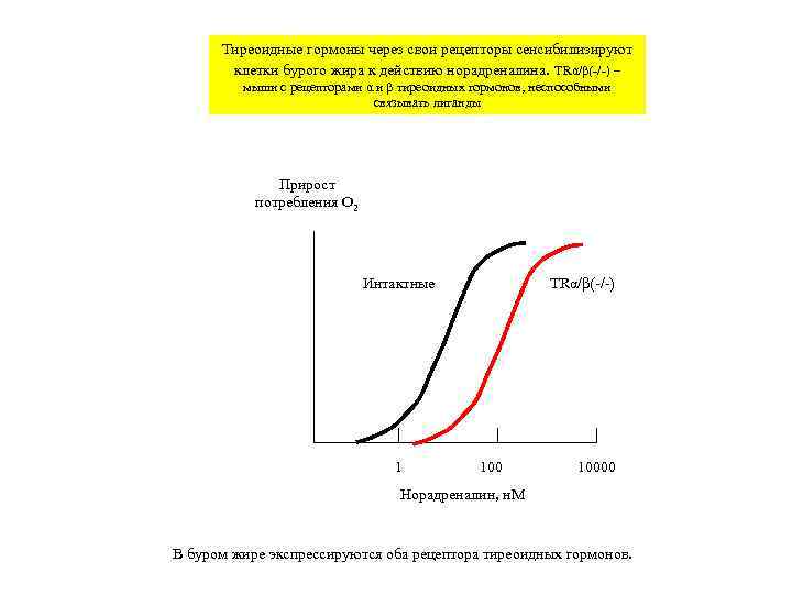  Тиреоидные гормоны через свои рецепторы сенсибилизируют  клетки бурого жира к действию норадреналина.