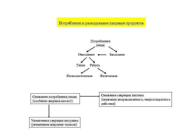     Потребление и расходование пищевых продуктов     