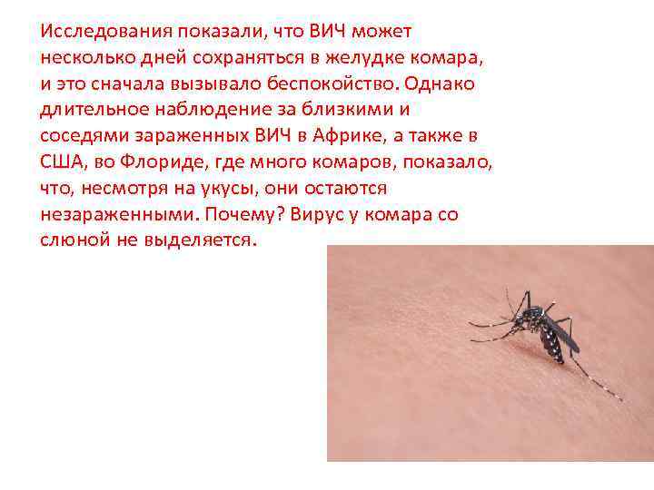 Исследования показали, что ВИЧ может несколько дней сохраняться в желудке комара,  и это