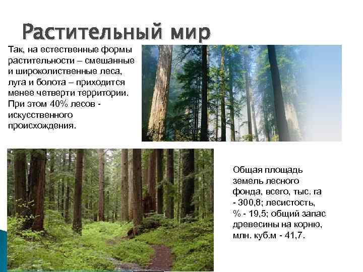  Растительный мир Так, на естественные формы растительности – смешанные и широколиственные леса, 