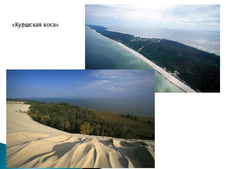  «Куршская коса» 