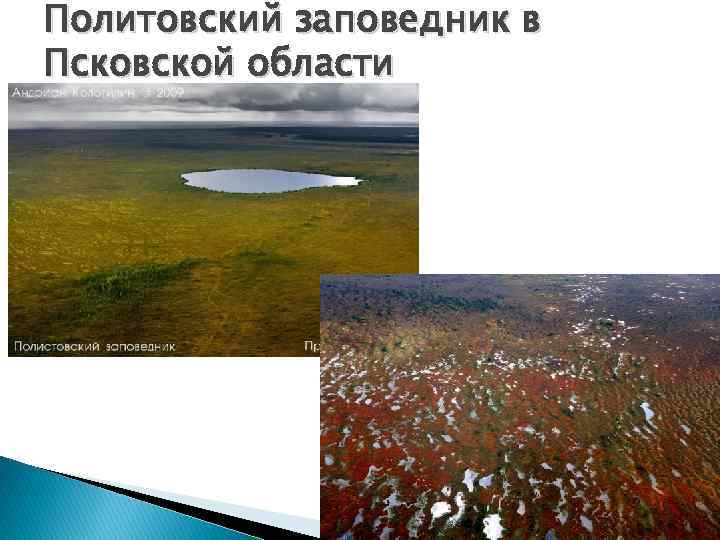 Политовский заповедник в Псковской области 