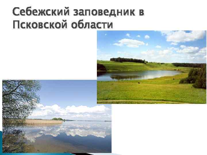 Себежский заповедник в Псковской области 