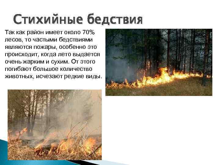 Стихийные бедствия Так как район имеет около 70% лесов, то частыми бедствиями являются
