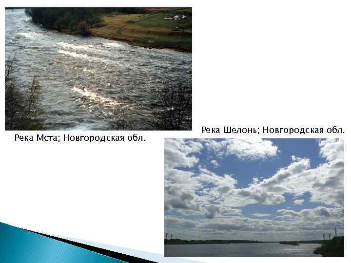       Река Шелонь; Новгородская обл. Река Мста; Новгородская обл.