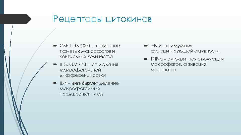 Рецепторы цитокинов CSF-1 (M-CSF) – выживание IFN-γ – стимуляция тканевых макрофагов и Рецепторы цитокинов CSF-1 (M-CSF) – выживание IFN-γ – стимуляция тканевых макрофагов и