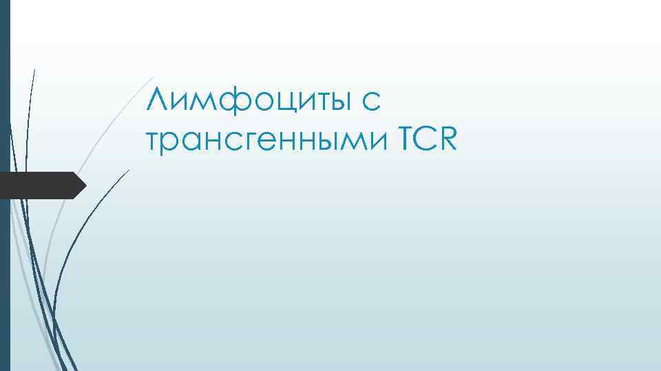 Лимфоциты с трансгенными TCR 