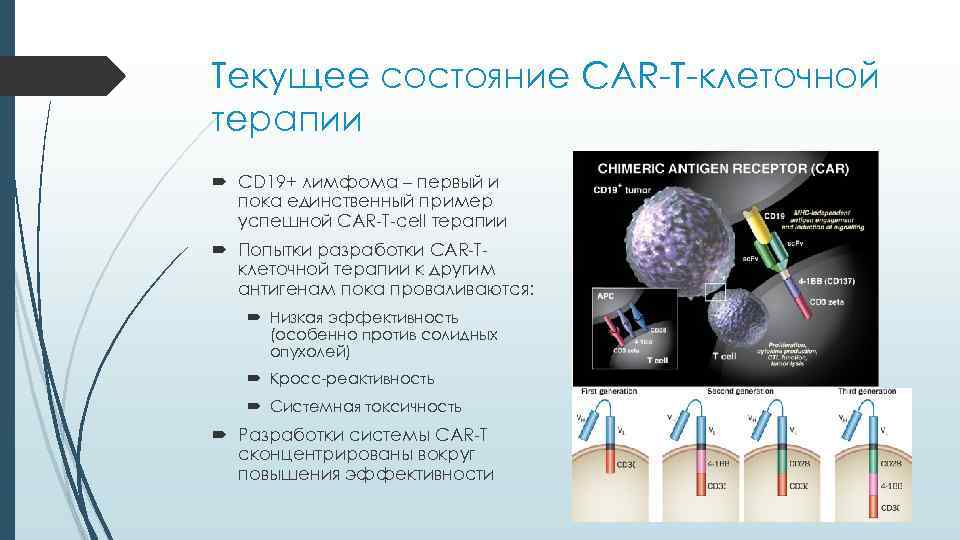 Текущее состояние CAR-T-клеточной терапии  CD 19+ лимфома – первый и  пока единственный