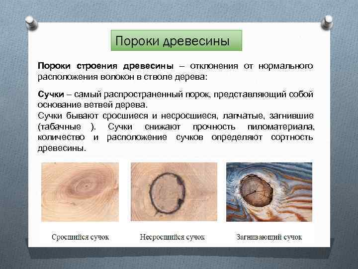    Пороки древесины Пороки строения древесины – отклонения от нормального расположения волокон
